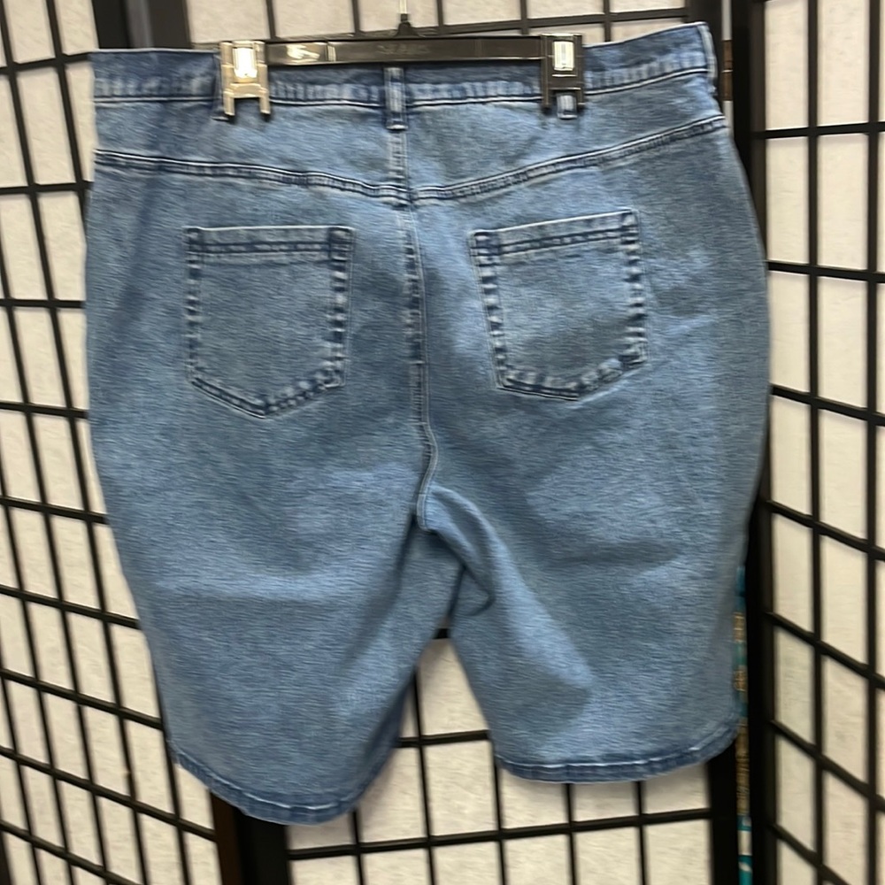 Vintage Dg2 by Diane Gilman Blue Jean Shorts, 18W - Picture 2 of 6